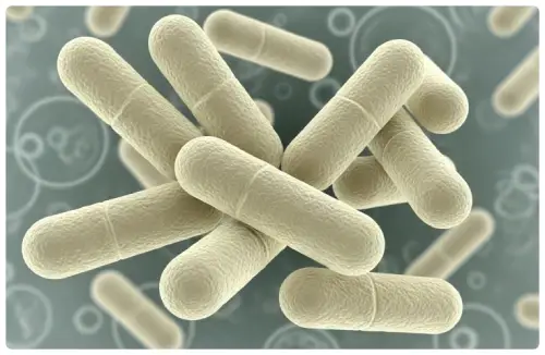 DentaBiome L. Rhamnosus postbiotic ingredient for gum health